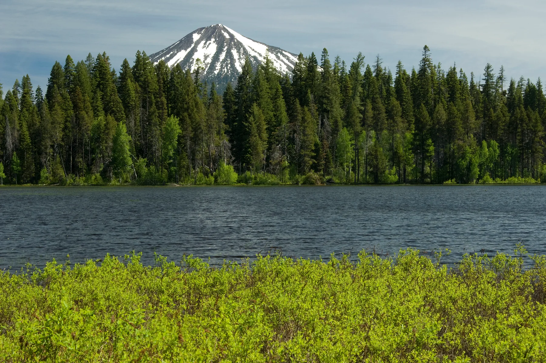 Snow-striped Mount McLoughlin rising above conifer forest and Fourmile Lake